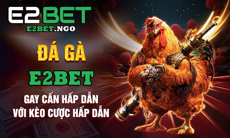 đá gà e2bet gay cấn hấp dẫn