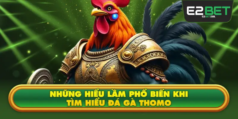 Những Hiểu Lầm Phổ Biến Khi Tìm Hiểu Đá Gà Thomo