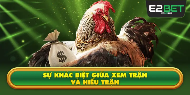 Sự Khác Biệt Giữa Xem Trận Và Hiểu Trận